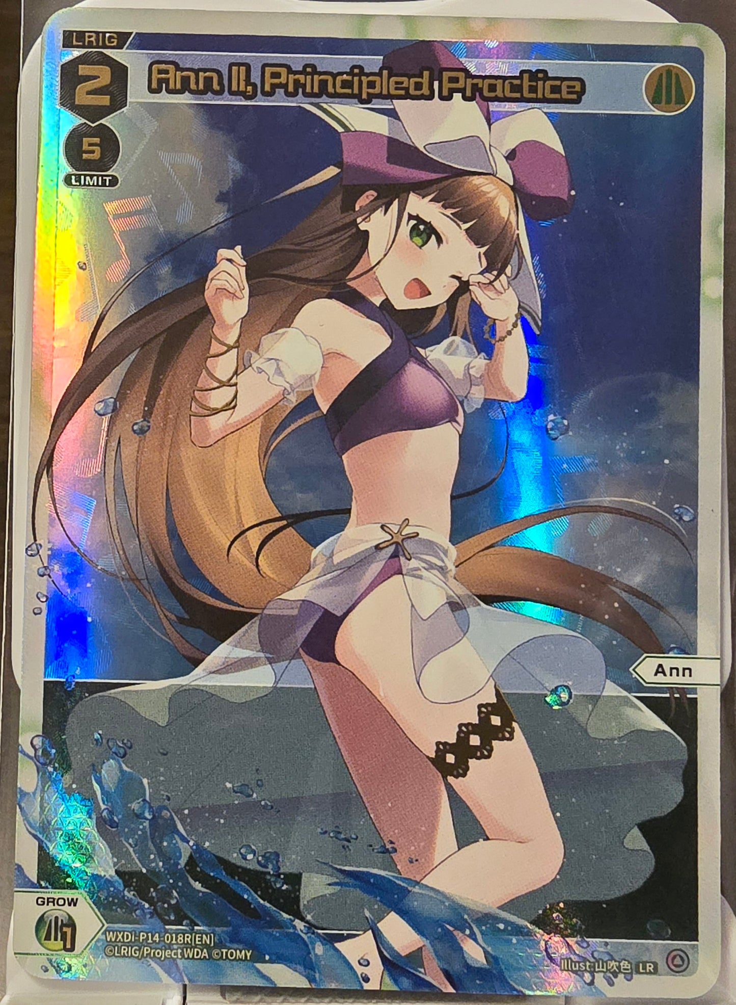 Ann II, Principled Practice (LR)