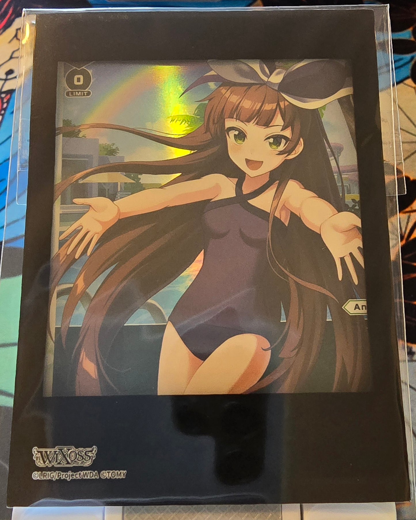 Ann, Witless Wonderland (Box Purchase)